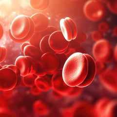 Blood Pressure Support